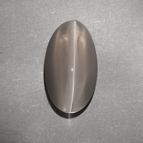 Sillimanite cat's eye marrom natural 7,02ct, transparente, transparente/translúcido