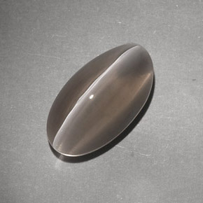 Sillimanite cat's eye marrom natural 7,02ct, transparente, transparente/translúcido