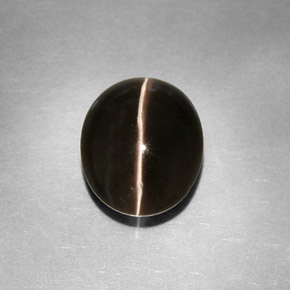 Sillimanite cat's eye cinza natural 4,11ct, transparente, transparente/translúcido