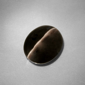 Sillimanite cat's eye cinza natural 4,11ct, transparente, transparente/translúcido