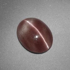 Sillimanite cat's eye marrom natural 1,60ct, corte oval, translúcido