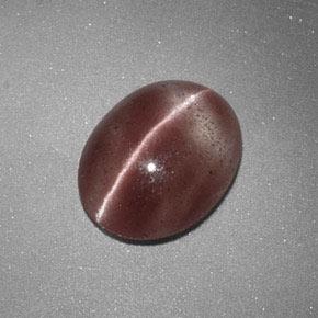 Sillimanite cat's eye marrom natural 1,60ct, corte oval, translúcido