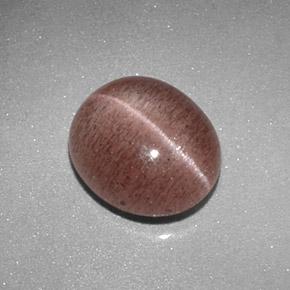 Sillimanite cat's eye marrom natural 2,04ct, corte oval, translúcido