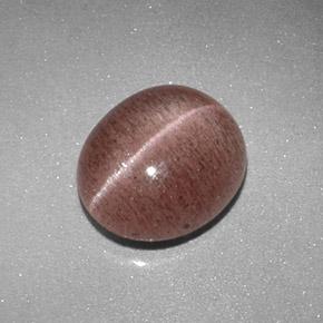 Sillimanite cat's eye marrom natural 2,04ct, corte oval, translúcido