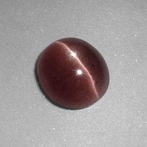 Sillimanite cat's eye marrom natural 1,64ct, corte oval, opaco