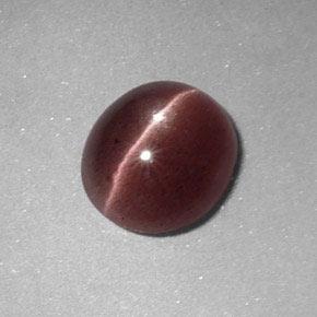 Sillimanite cat's eye marrom natural 1,64ct, corte oval, opaco