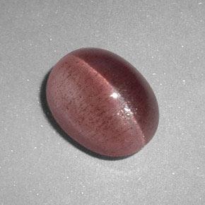 Sillimanite cat's eye rosa natural 2,89ct, corte oval, translúcido