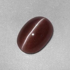 Sillimanite cat's eye marrom natural 2,05ct, corte oval, opaco