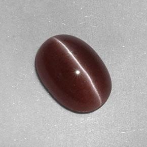 Sillimanite cat's eye marrom natural 2,05ct, corte oval, opaco