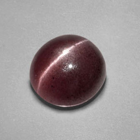 Sillimanite cat's eye marrom natural 2,55ct, transparente, transparente/translúcido