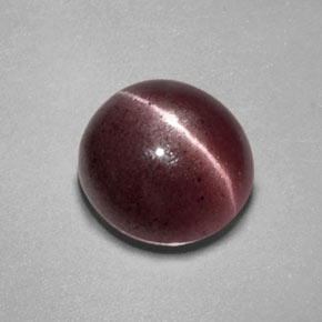 Sillimanite cat's eye marrom natural 2,55ct, transparente, transparente/translúcido