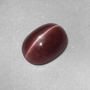 Sillimanite cat's eye marrom natural 1,58ct, corte oval, opaco