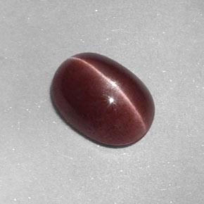 Sillimanite cat's eye marrom natural 1,58ct, corte oval, opaco