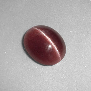 Sillimanite cat's eye marrom natural 1,26ct, transparente, transparente/translúcido