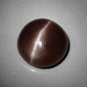 Sillimanite cat's eye marrom natural 6,99ct, corte redondo, opaco