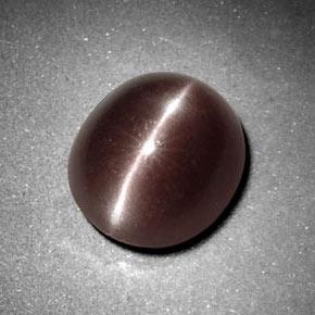 Sillimanite cat's eye marrom natural 3,29ct, corte oval, opaco