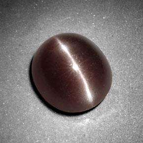 Sillimanite cat's eye marrom natural 3,29ct, corte oval, opaco