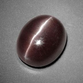 Sillimanite cat's eye marrom natural 3,85ct, corte oval, opaco