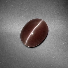 Sillimanite cat's eye marrom natural 1,59ct, corte oval, translúcido