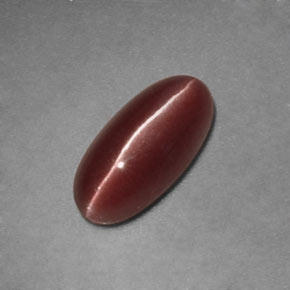 Sillimanite cat's eye marrom natural 1,12ct, transparente, transparente/translúcido