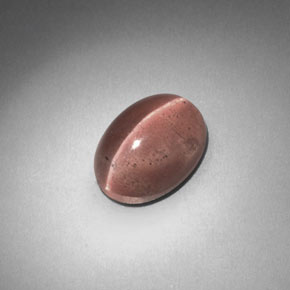 Sillimanite cat's eye marrom natural 2,58ct, corte oval, translúcido