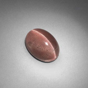 Sillimanite cat's eye marrom natural 2,58ct, corte oval, translúcido