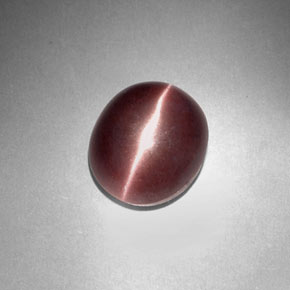 Sillimanite cat's eye marrom natural 3,29ct, corte oval, opaco