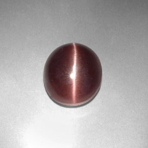 Sillimanite cat's eye marrom natural 3,29ct, corte oval, opaco