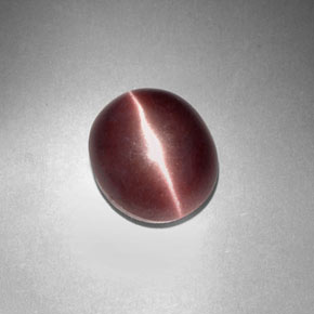 Sillimanite cat's eye marrom natural 3,29ct, corte oval, opaco