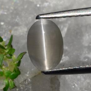 Sillimanita Olho de Gato Castanho acinzentado Natural 1.23ct, Corte Oval, Translúcido