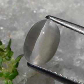 Sillimanita Olho de Gato Castanho acinzentado Natural 1.23ct, Corte Oval, Translúcido