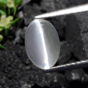 Sillimanita Olho de Gato Castanho acinzentado Natural 1.40ct, Corte Oval, Transparente