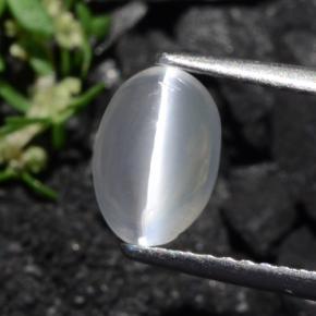 Sillimanita Olho de Gato Castanho acinzentado Natural 1.40ct, Corte Oval, Transparente