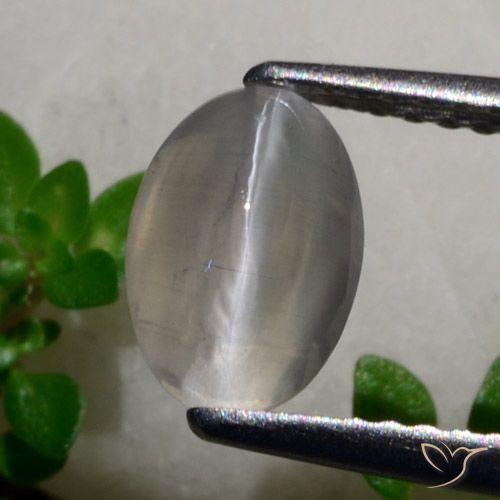 1.65ct Natural Cinza muito claro Sillimanita Olho de Gato, oval, Translúcido