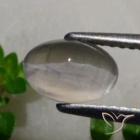 Sillimanita Olho de Gato Cinza muito claro Natural 1.65ct, oval, Translúcido
