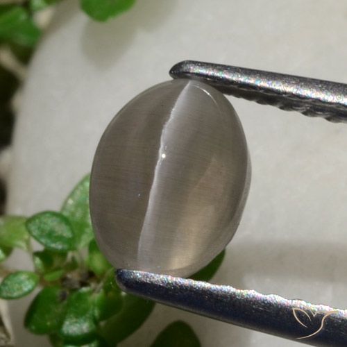 1.80ct Natural Amendoim Marrom Sillimanita Olho de Gato, oval, Translúcido