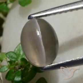 Sillimanita Olho de Gato Amendoim Marrom Natural 1.80ct, oval, Translúcido