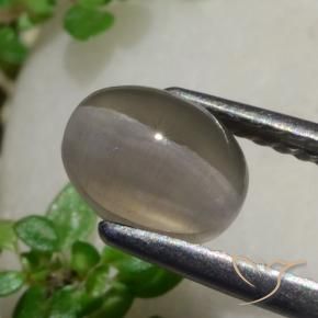 Sillimanita Olho de Gato Amendoim Marrom Natural 1.80ct, oval, Translúcido