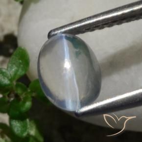 Sillimanita Olho de Gato Branco Natural 1.47ct, oval, Transparente