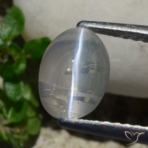 1.42ct Natural Cinza muito claro Sillimanita Olho de Gato, oval, Transparente