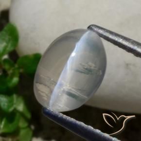 Sillimanita Olho de Gato Cinza muito claro Natural 1.42ct, oval, Transparente