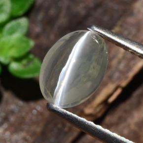 Sillimanita Olho de Gato Fumaça Natural 1.14ct, Corte Oval, Transparente