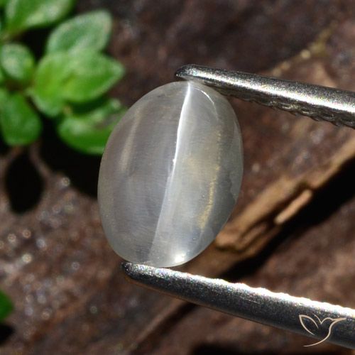 1.47ct Natural Branco Sillimanita Olho de Gato, oval, Translúcido