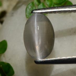 Sillimanita Olho de Gato Fumaça Natural 1.20ct, Corte Oval, Transparente