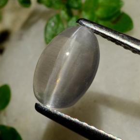 Sillimanita Olho de Gato Fumaça Natural 1.20ct, Corte Oval, Transparente