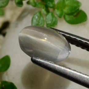 Sillimanita Olho de Gato Fumaça Natural 1.20ct, Corte Oval, Transparente