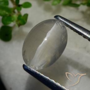 Sillimanita Olho de Gato Cinza muito claro Natural 1.40ct, oval, Transparente