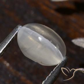 Sillimanita Olho de Gato branco quente Natural 1.58ct, oval, Transparente