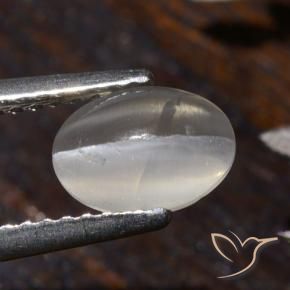 Sillimanita Olho de Gato branco quente Natural 1.58ct, oval, Transparente