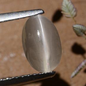 Sillimanita Olho de Gato Fumaça Natural 1.40ct, Corte Oval, Translúcido